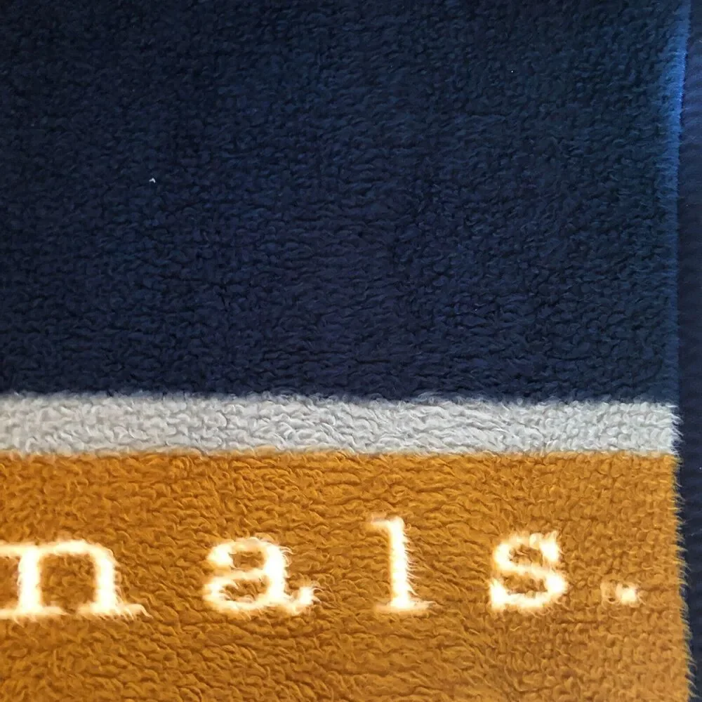 Biederlack Washington Nationals MLB Baseball Blanket VTG 90s Furry Stadium Throw